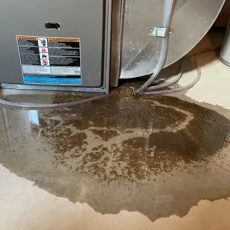 Appliance Leak Cleanup in La Jolla, CA